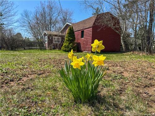 45 Saunders Dr, Quispamsis, NB 