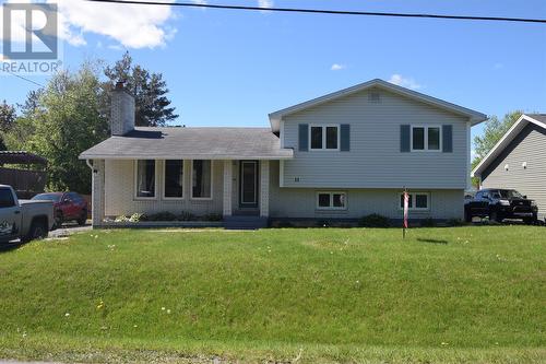 13 Birchview Drive, Pasadena, NL 