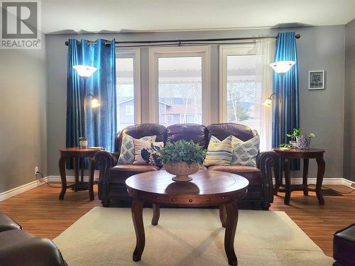 13 Birchview Drive, Pasadena, NL 