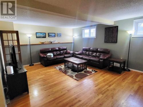 13 Birchview Drive, Pasadena, NL 