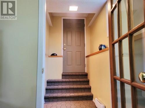 13 Birchview Drive, Pasadena, NL 