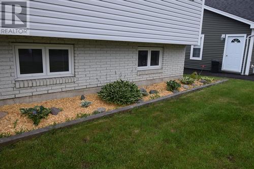 13 Birchview Drive, Pasadena, NL 