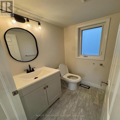 111 Higginbotham Crescent, Milton, ON - Indoor Photo Showing Bathroom