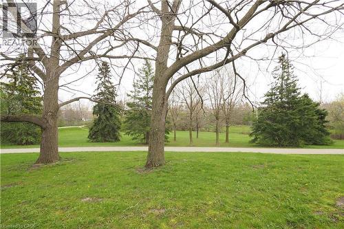88 Gilmour Crescent, Kitchener, ON - Outdoor With View