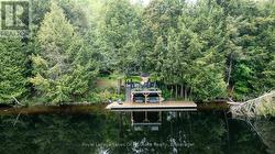 beautiful shoreline, double decks and sandy entry - 