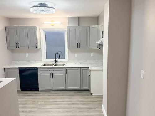 310 Dewe Avenue, Thunder Bay, ON - Indoor Photo Showing Kitchen With Double Sink