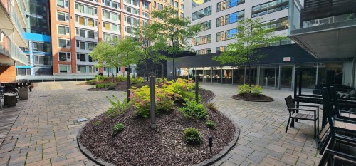 Garden - 1505-350 Boul. De Maisonneuve O., Montréal (Ville-Marie), QC - Outdoor