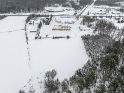 Overall view - 