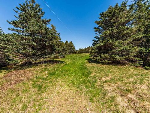 5996 Highway 1, Mavillette, NS 