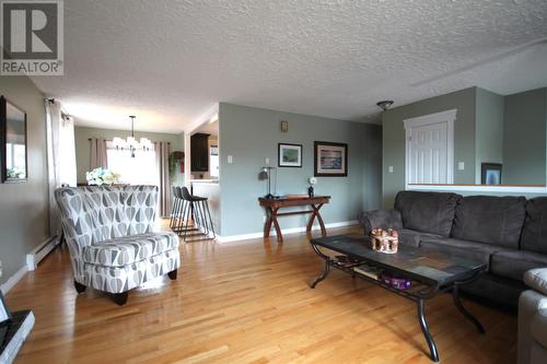 50 Holbrook Avenue, St. John'S, NL - Indoor Photo Showing Living Room