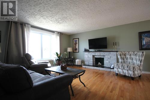 50 Holbrook Avenue, St. John'S, NL - Indoor Photo Showing Living Room With Fireplace