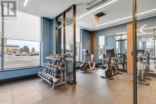 505 - 385 Winston Road, Grimsby, ON - Indoor Photo Showing Gym Room