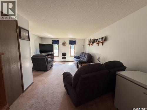117 3Rd Avenue Nw, Watson, SK - Indoor Photo Showing Living Room