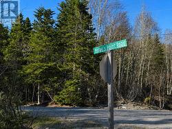 LOT 9 HOWE'S POINT Road Port Blandford, NL A0C 2G0