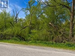 0 MAPLE RIDGE DRIVE Kawartha Lakes (Emily), ON K0L 2W0
