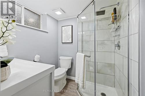 5187 Carousel Court, Burlington, ON - Indoor Photo Showing Bathroom