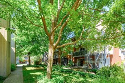 Back of Structure - 