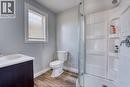 41 Giles Boulevard, Windsor, ON  - Indoor Photo Showing Bathroom 