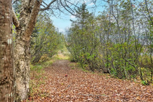 Terre/Terrain - 1078 Ch. Du Lac-Chaud, La Macaza, QC - Outdoor With View