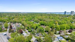 Overall view - 