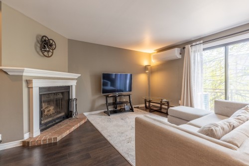 Salon - 5-1431 Rue Notre-Dame O., Montréal (Ville-Marie), QC - Indoor Photo Showing Living Room With Fireplace