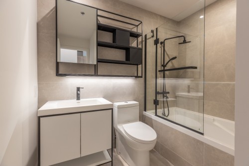 Bathroom - 657-288 Rue Richmond, Montréal (Le Sud-Ouest), QC - Indoor Photo Showing Bathroom