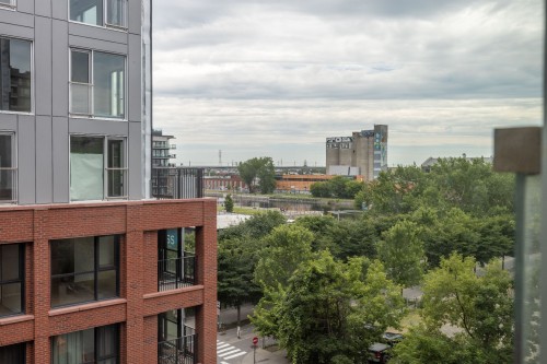View - 657-288 Rue Richmond, Montréal (Le Sud-Ouest), QC - Outdoor