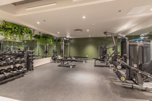 Exercise Room - 657-288 Rue Richmond, Montréal (Le Sud-Ouest), QC - Indoor Photo Showing Gym Room