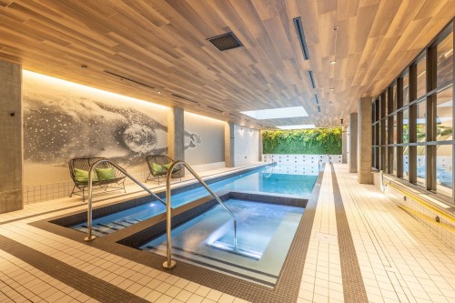 Pool - 657-288 Rue Richmond, Montréal (Le Sud-Ouest), QC -  Photo Showing Other Room With In Ground Pool