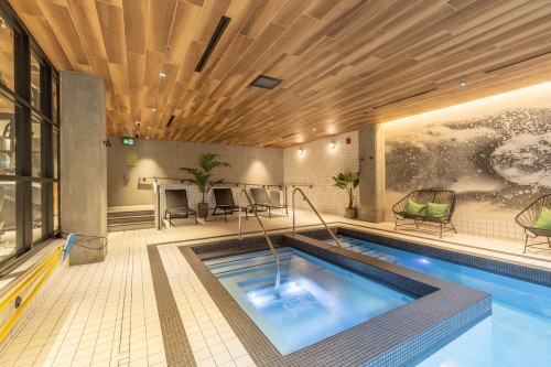 Pool - 657-288 Rue Richmond, Montréal (Le Sud-Ouest), QC - Indoor Photo Showing Other Room With In Ground Pool