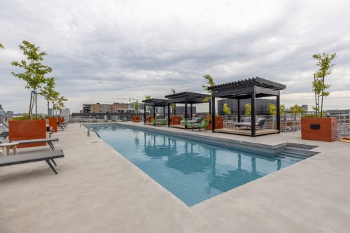 Pool - 657-288 Rue Richmond, Montréal (Le Sud-Ouest), QC - Outdoor With In Ground Pool