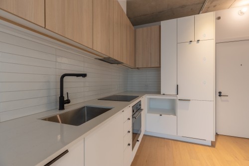 Kitchen - 657-288 Rue Richmond, Montréal (Le Sud-Ouest), QC - Indoor Photo Showing Kitchen