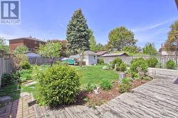 Back Yard - 