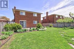 Back Yard - 