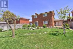 Back Yard - 