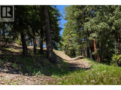 Path to upper plateau - 4644 97 Highway, Westwold, BC - Outdoor With View