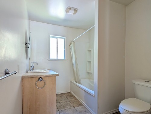 Bathroom - 205 Ch. Martin, Saint-Calixte, QC - Indoor Photo Showing Bathroom