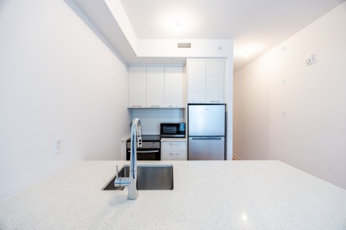 Cuisine - 612C-1400 Rue Ottawa, Montréal (Le Sud-Ouest), QC - Indoor Photo Showing Kitchen With Double Sink