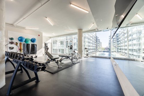 Salle d'exercice - 612C-1400 Rue Ottawa, Montréal (Le Sud-Ouest), QC - Indoor Photo Showing Gym Room