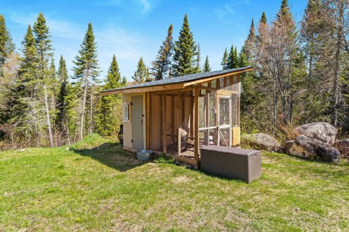 Exterior - 711 Rue Mary, Sainte-Agathe-Des-Monts, QC - Outdoor