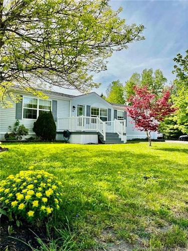 16 Anemone St, Moncton, NB 