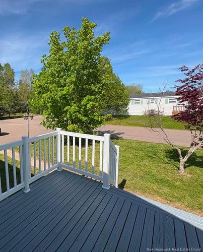 16 Anemone St, Moncton, NB 
