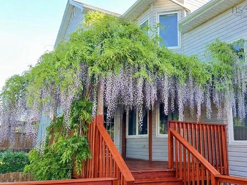 169 Red Fern Terrace, Clayton Park, NS - Outdoor