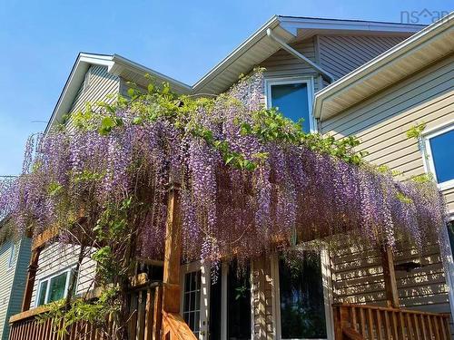 169 Red Fern Terrace, Clayton Park, NS - Outdoor