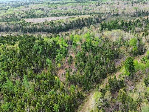 V/L 204 Highway, Streets Ridge, NS 
