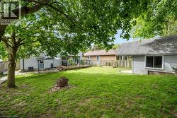 Expansive backyard with a generous lawn area and mature tree providing shade - 
