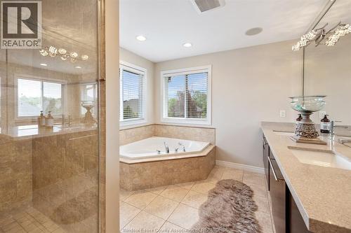 2105 Washington Boulevard, Lasalle, ON - Indoor Photo Showing Bathroom