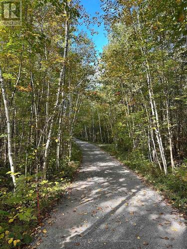 216 SMOOTH ROCK ROAD  Georgian Bay, ON L0K 1S0