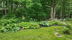 Beautifully landscaped yard - 