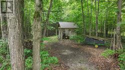 Additiona Garden Shed - 